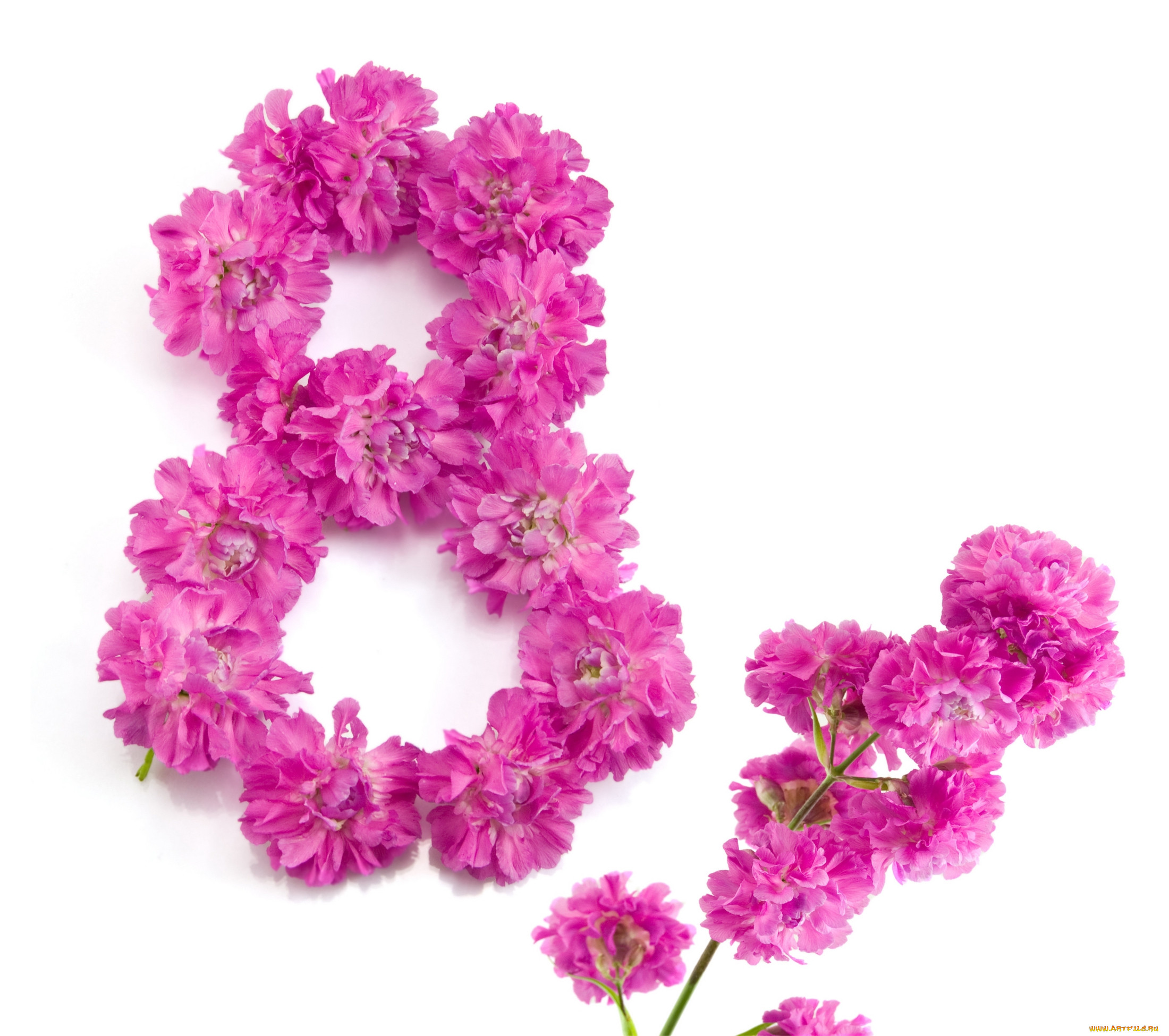 ,    - 8 , , , , , 8, 
